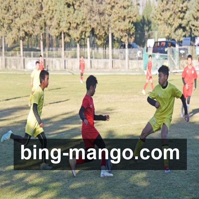 体育互动体验——赛事策划流程